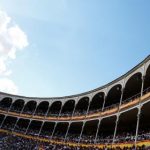 赛狗娱乐的规则与技巧:新手必备的入门指南 2m85vrb