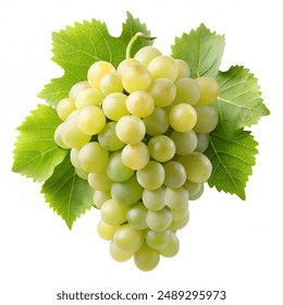 趣赢娱乐平台带你领略多元游戏世界与超高返利