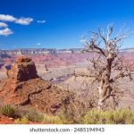 CCTV5体育频道精彩赛事直播回放完整版在线观看 4idoxhhie