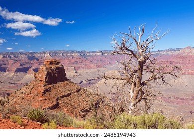 CCTV5体育频道精彩赛事直播回放完整版在线观看