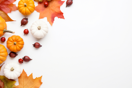 CCTV5体育赛事直播软件官方正版高清下载