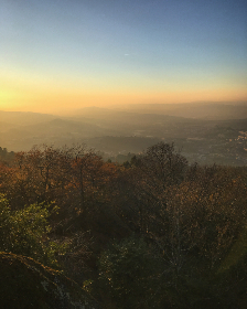 赌现金信誉体系建设的实证分析与最佳实践案例