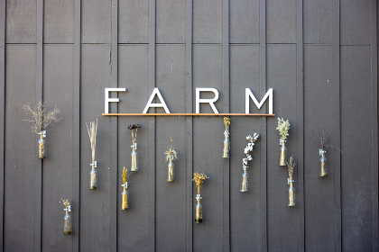 CCTV5在线直播手机版5：高清体育赛事随时随地观看