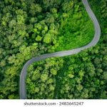 CCTV5体育赛事高清直播在线观看视频同步直播 v93bbt092j