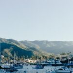 《武林风》5月13日震撼直播:巅峰对决引爆擂台风云 9c5jw4c2s