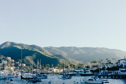 《武林风》5月13日震撼直播:巅峰对决引爆擂台风云