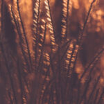 《欢乐斗地主》高手在线直播,欢乐对决精彩不停! a2g1m3mq