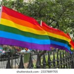 《武林风》精彩对决直播视频全程回顾 hx24oh8v